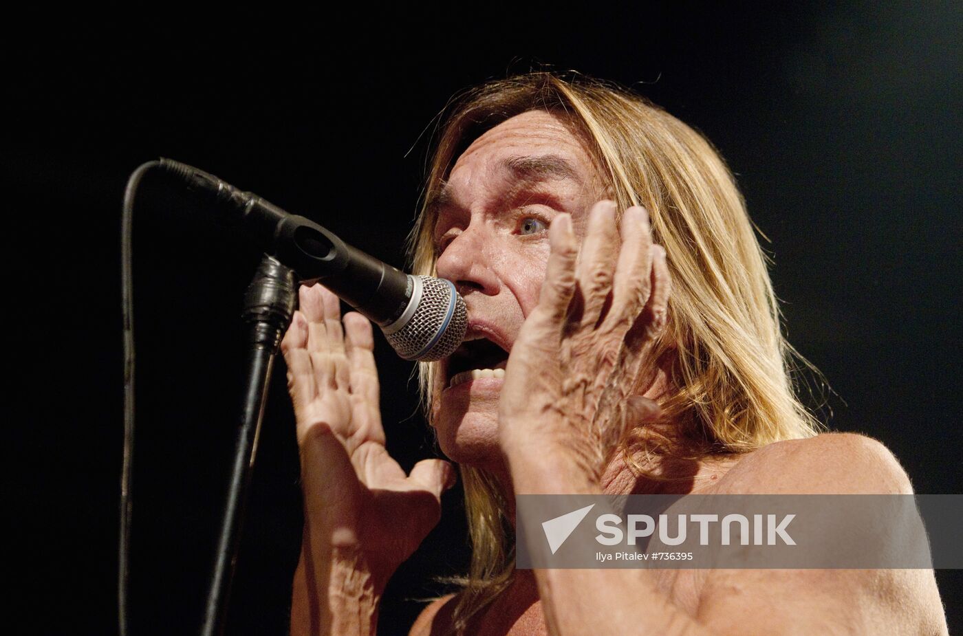 American singer Iggy Pop and his band The Stooges perform live