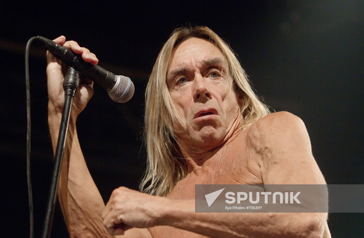 American singer Iggy Pop and his band The Stooges perform live