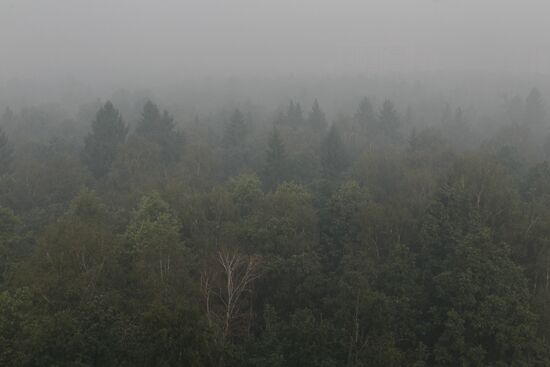 Smoke from wildfires in Troitsk