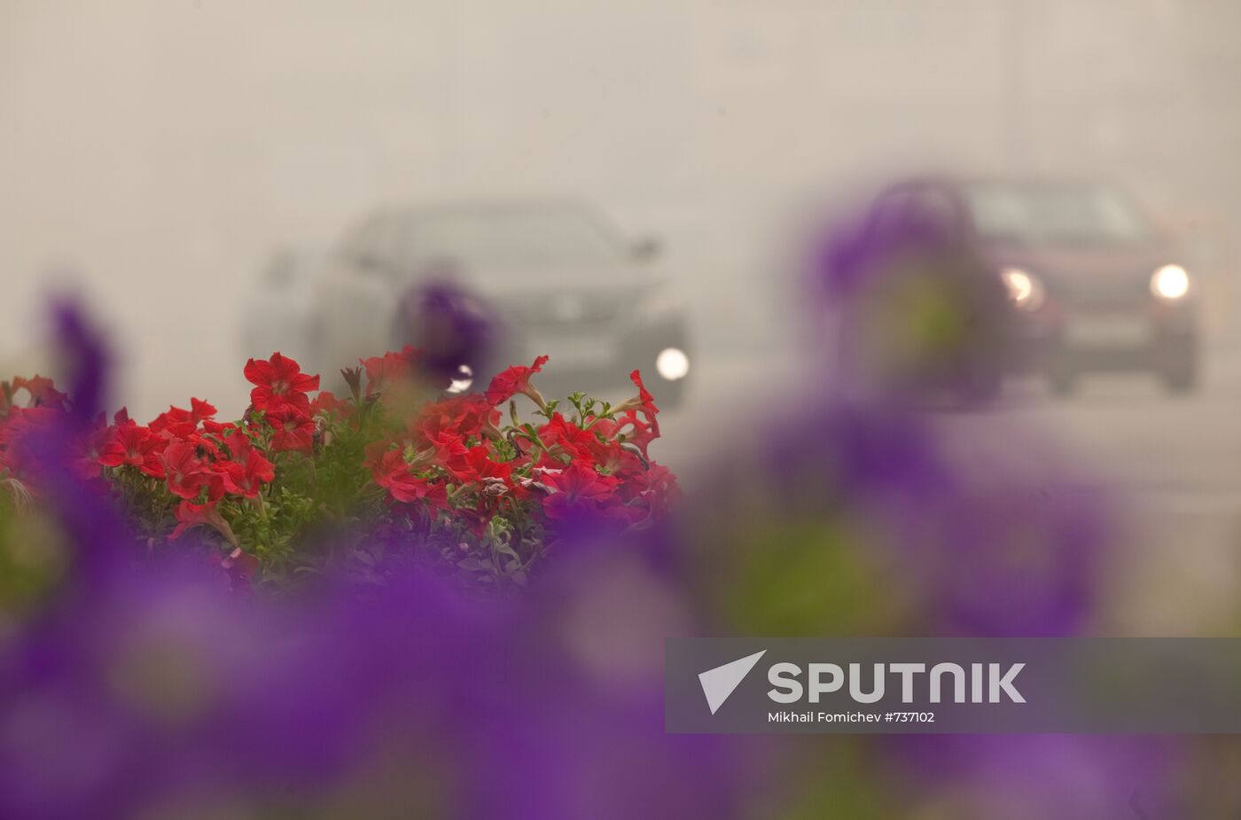 Moscow shrouded in wildfire smoke