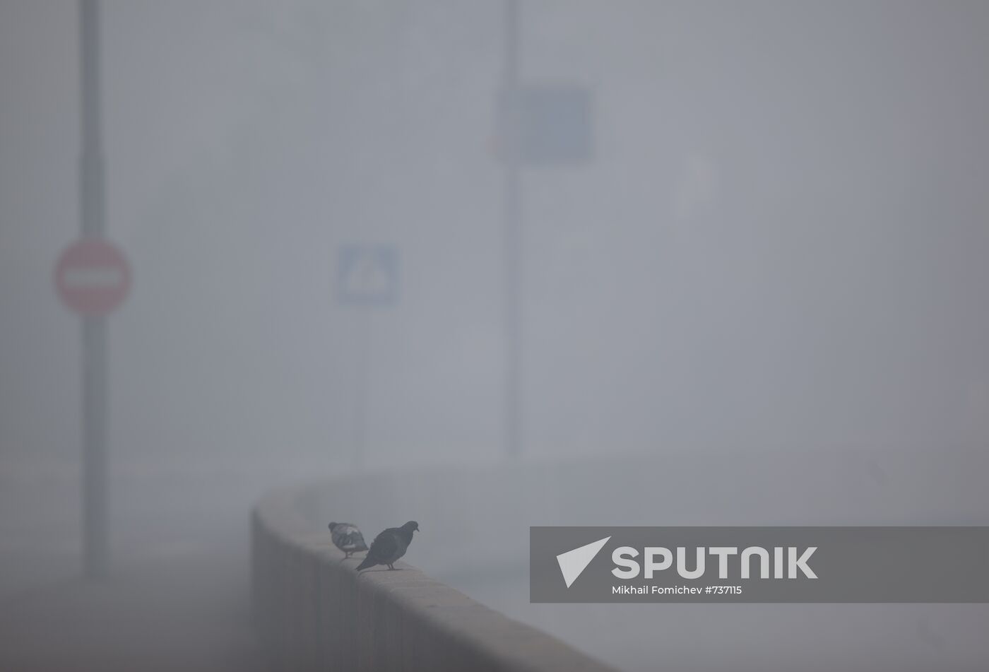 Moscow engulfed in wildfire smoke