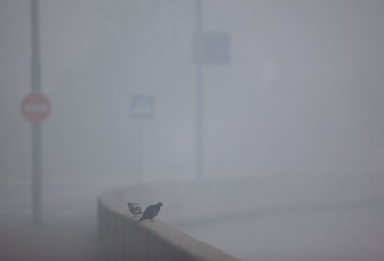 Moscow engulfed in wildfire smoke