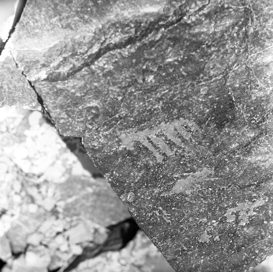 Rock painting "Horse"