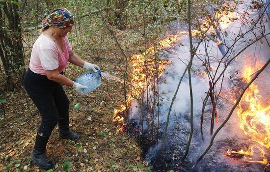 Fighting forest fire in Moscow Region