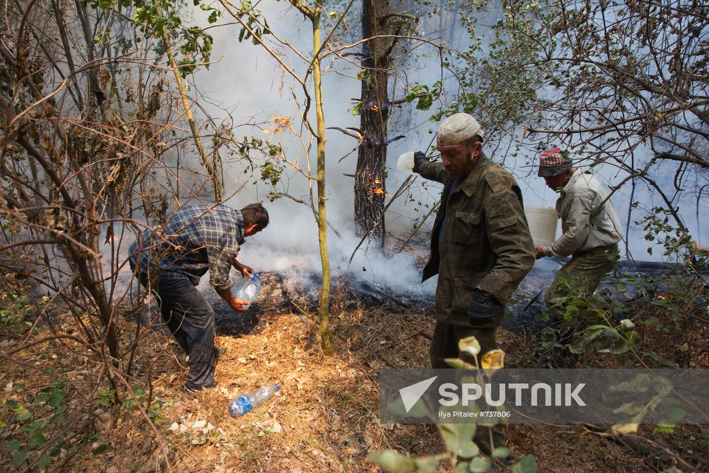 Fighting forest fire in Moscow Region