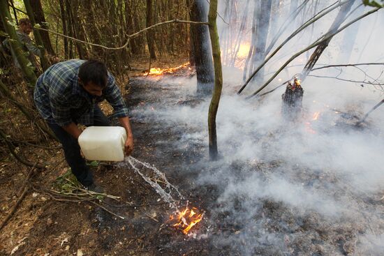 Fighting forest fire in Moscow Region