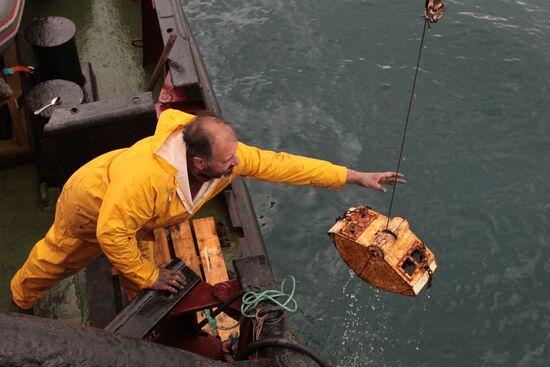 Expedition of Neotrazimy tug boat to New Land archipelago