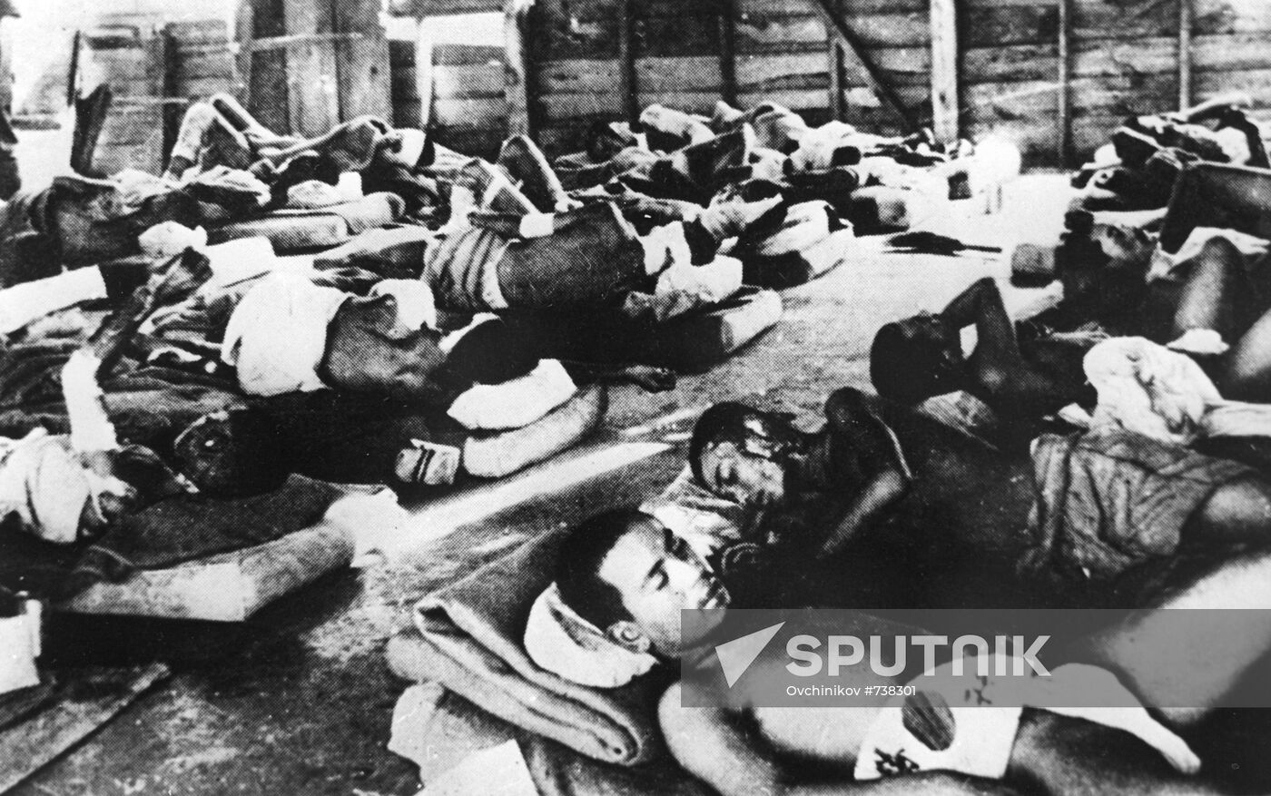 Hiroshima victims
