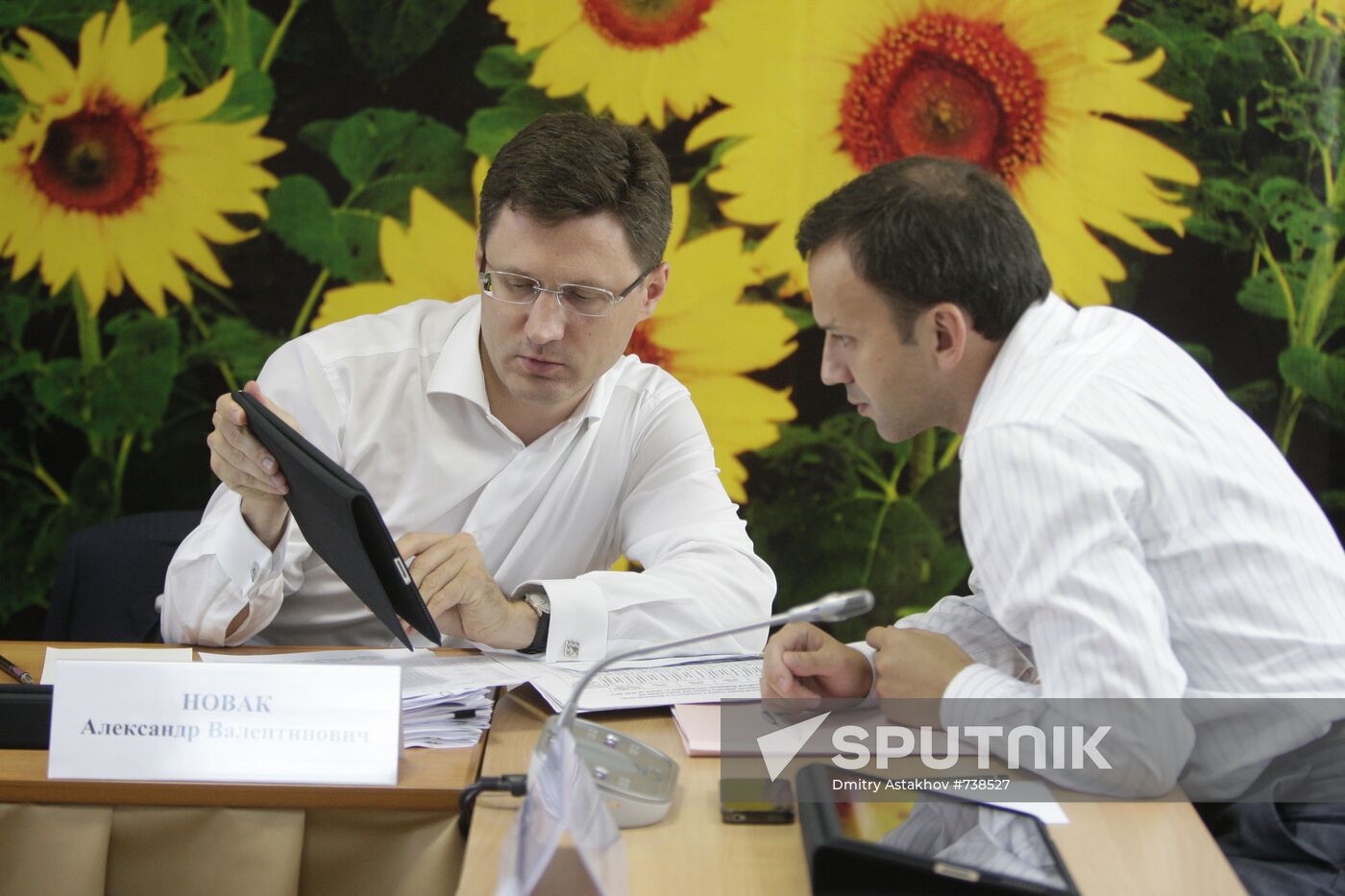 Alexander Novak, Arkady Dvorkovich