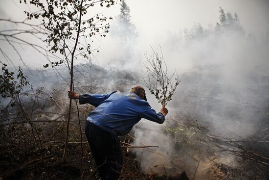 Flooding peat bogs in Shatura District, Moscow Region