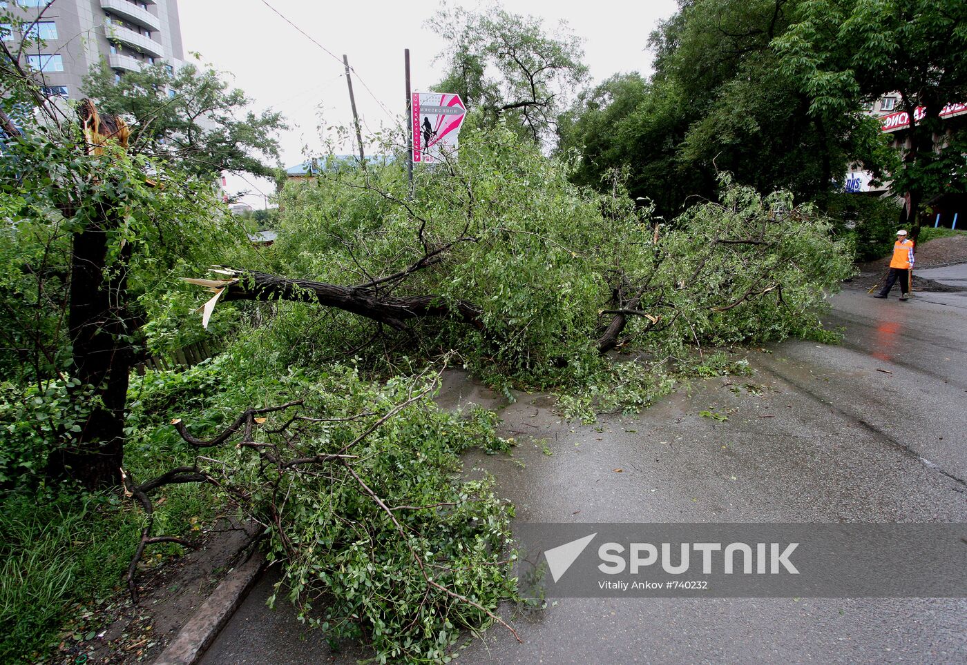 Aftermath of overnight showers in Vladivostok