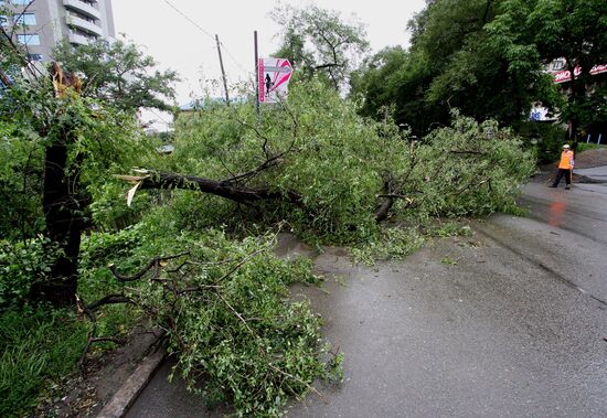 Aftermath of overnight showers in Vladivostok