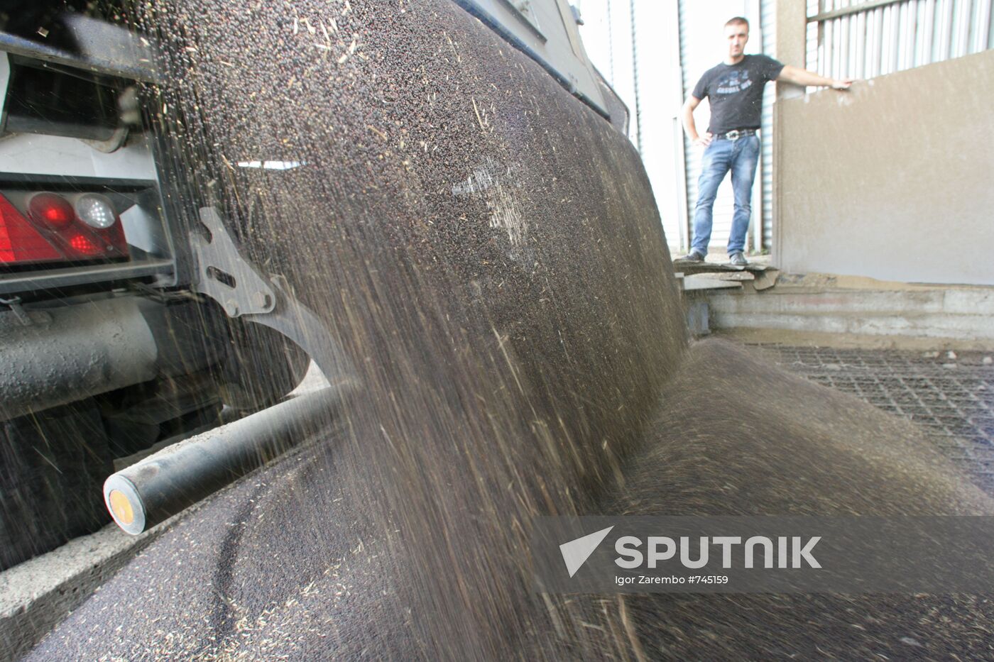 Bunkering rapeseed in the grain elevator