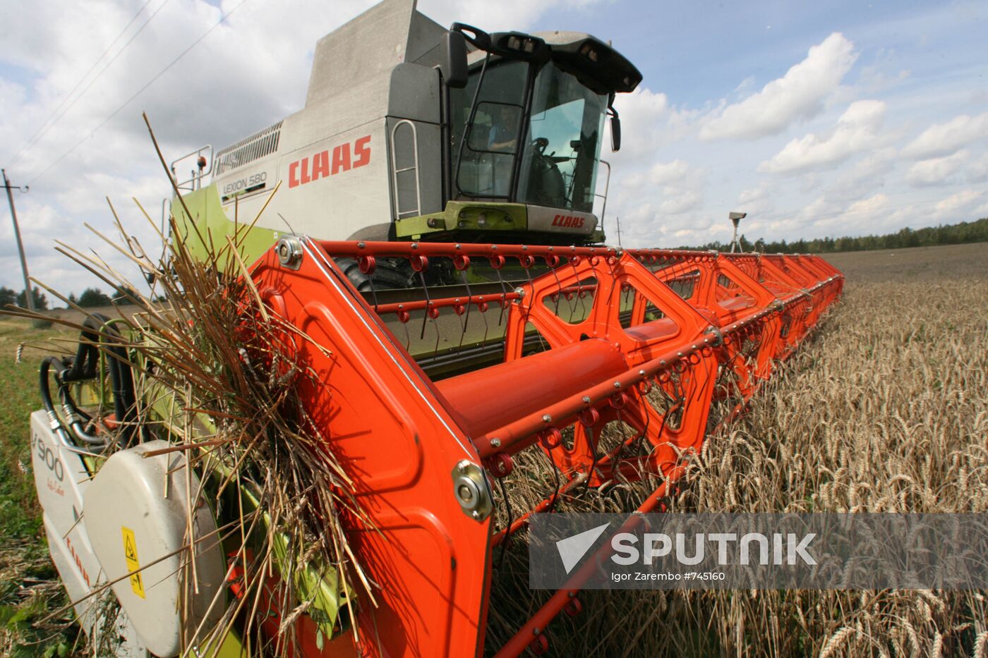 Wheat harvest