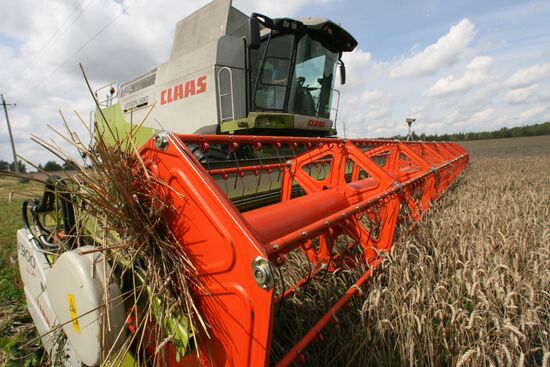 Wheat harvest