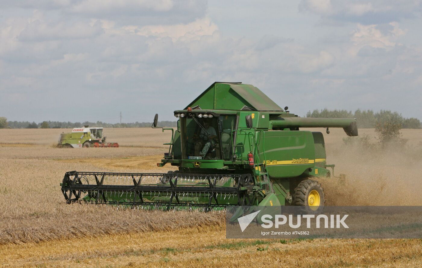 Wheat harvest