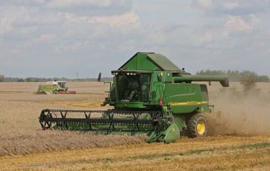 Wheat harvest