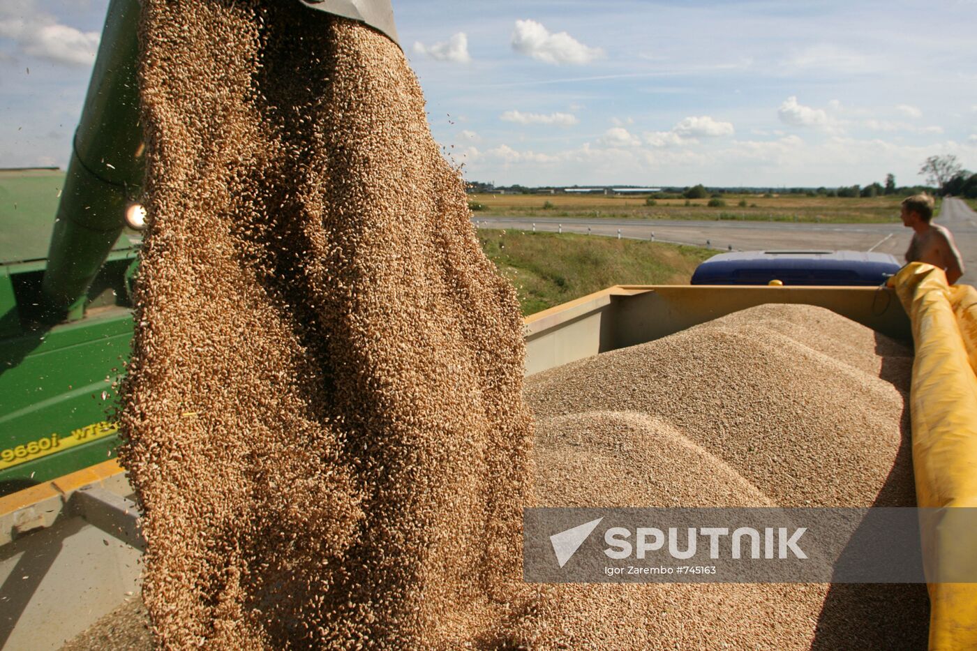 Harvested wheat from Dolgov and Co.'s fields