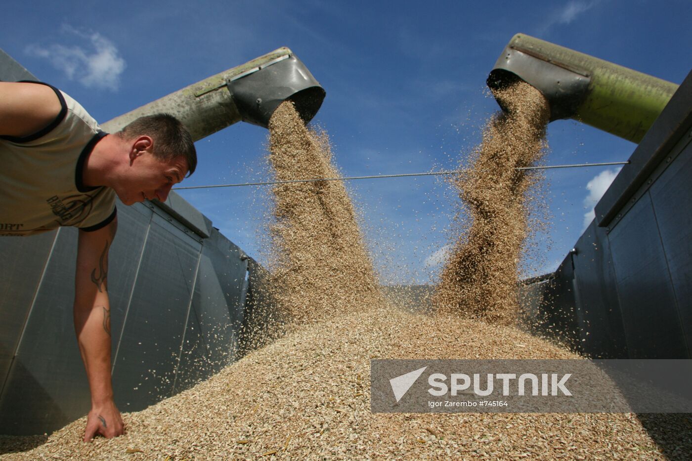 Harvested wheat from Dolgov and Co.'s fields