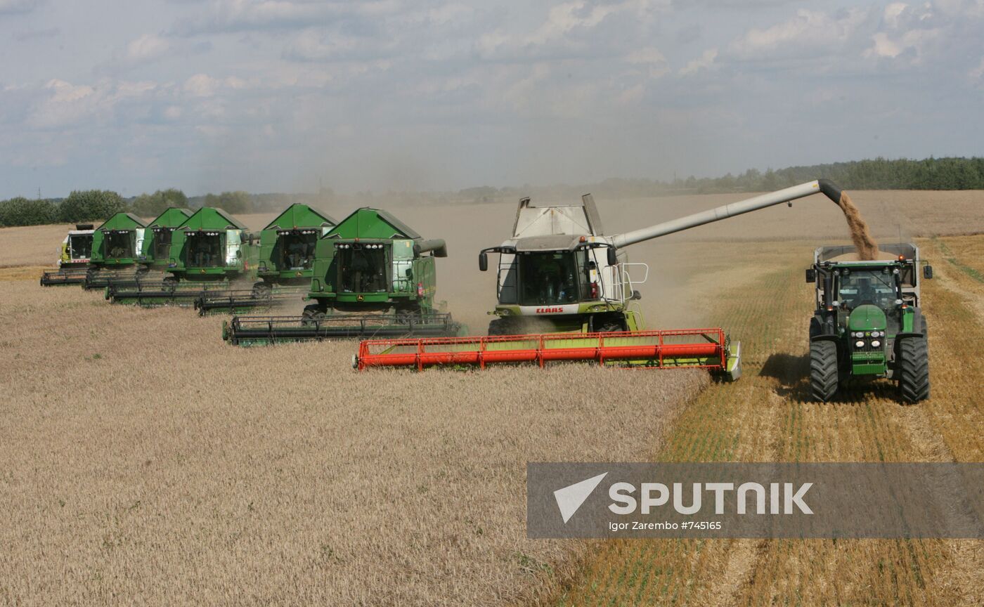 Wheat harvest