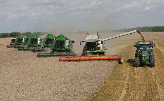 Wheat harvest