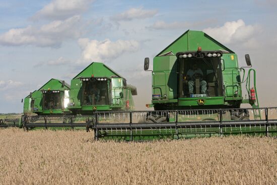 Wheat harvest