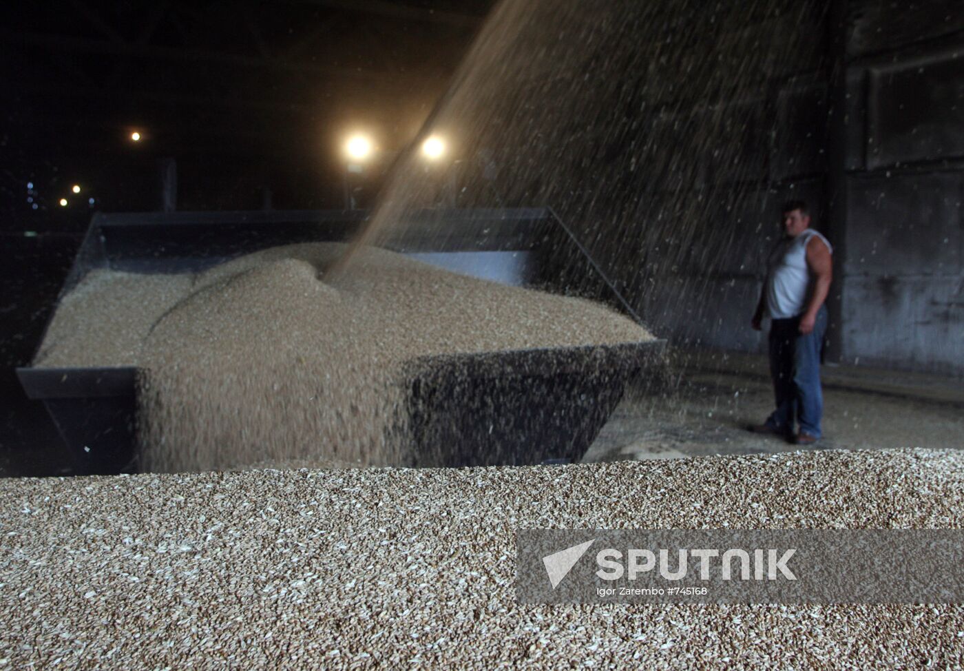 Harvested wheat from Dolgov and Co.'s fields