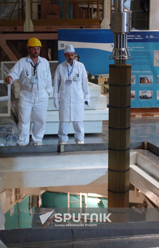 Bushehr nuclear power plant