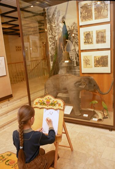 Exhibition "Animal Grace" at the Darwin Museum