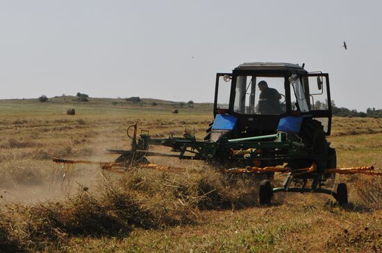 Hay harvesting