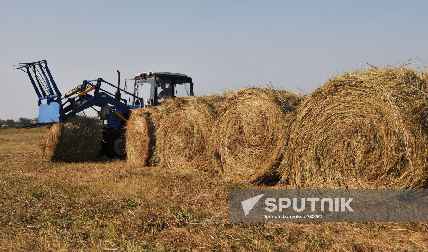 Preparing hay for transportation