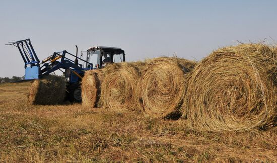 Preparing hay for transportation