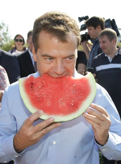D. Medvedev on working trip to Volga Federal District. Day Two
