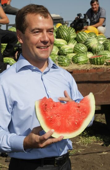 D. Medvedev on working trip to Volga Federal District. Day Two