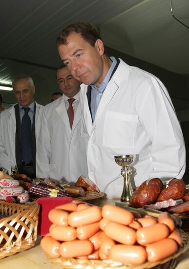 D. Medvedev on working trip to Volga Federal District. Day Two