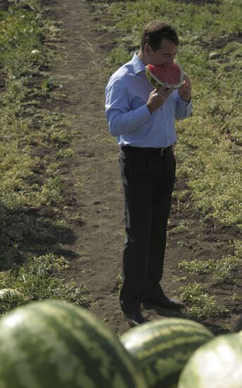 D. Medvedev on working trip to Volga Federal District. Day Two
