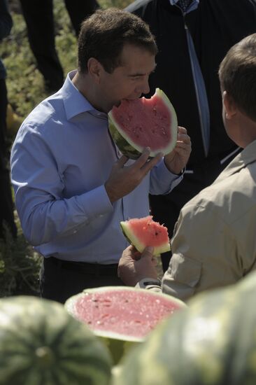 D. Medvedev on working trip to Volga Federal District. Day Two