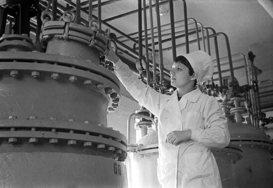 Experimental plant of the Institute of Medicinal Plants