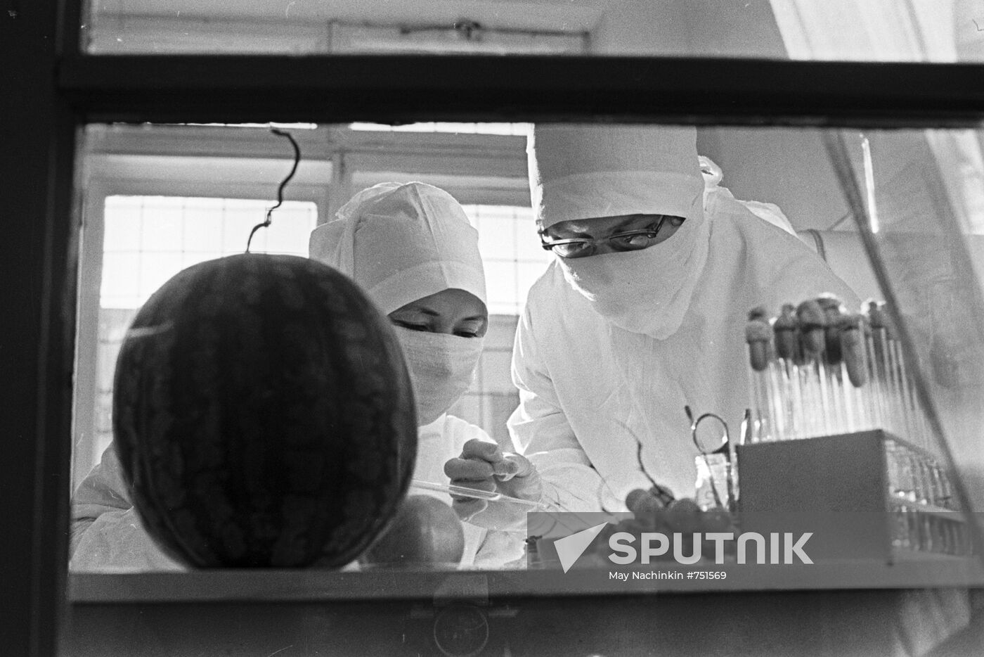 Fighting cholera epidemic in Astrakhan