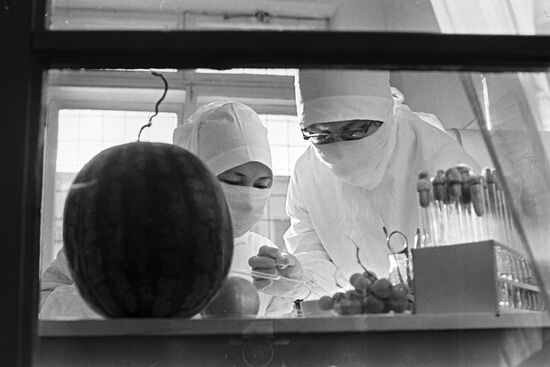 Fighting cholera epidemic in Astrakhan