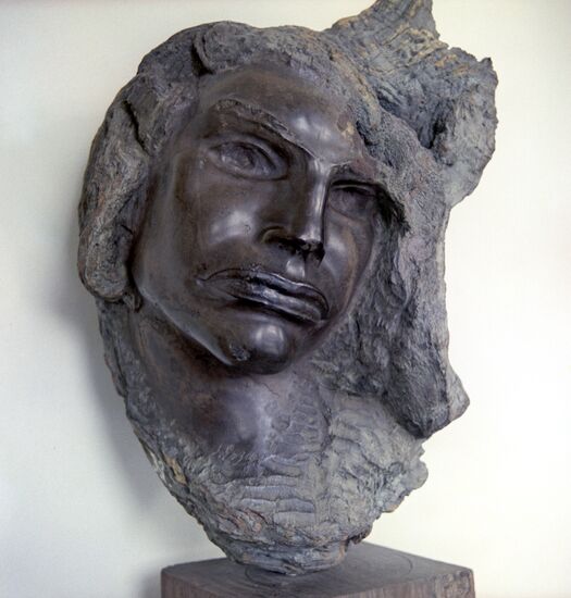 "Portrait of a Bolivian"