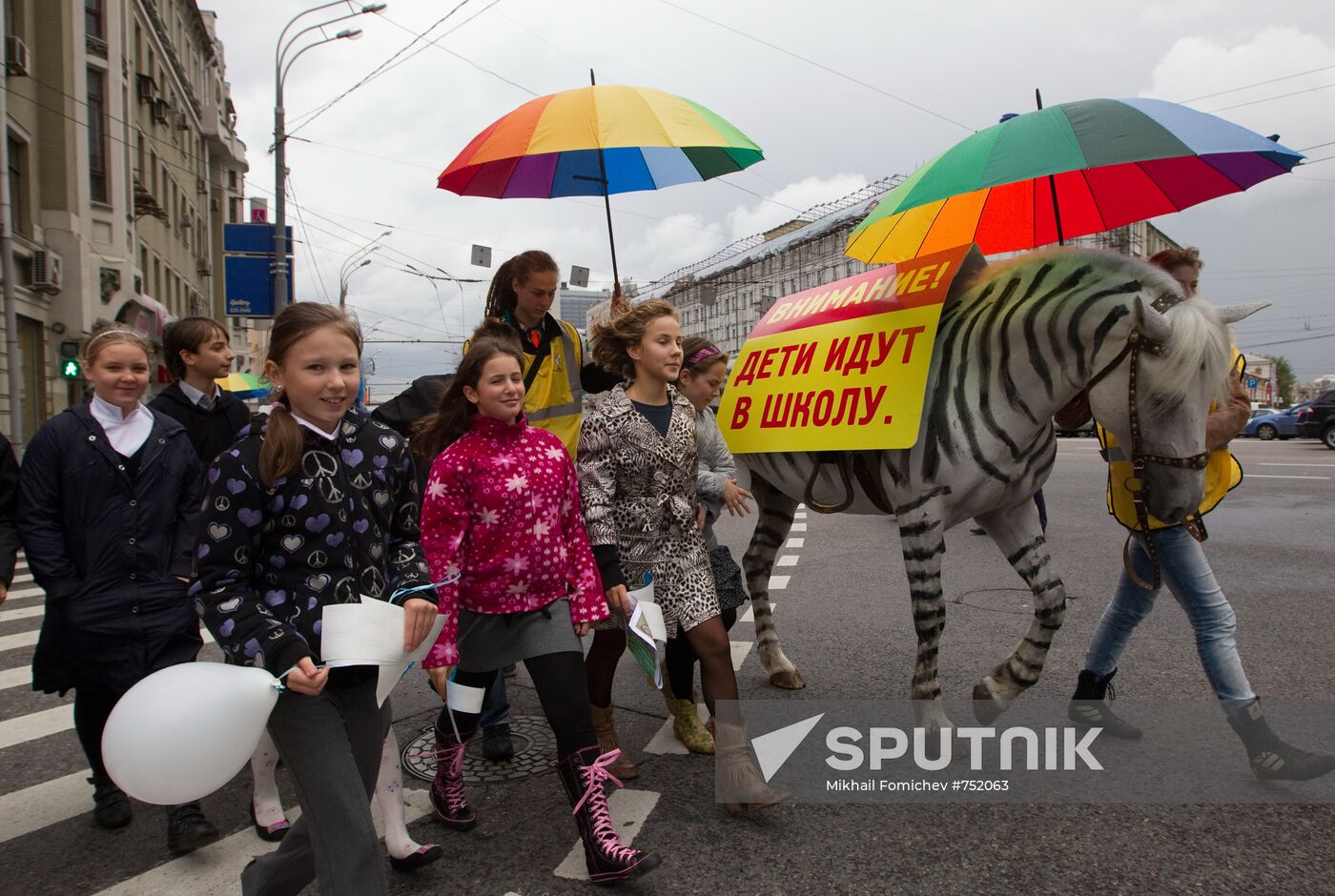 Moscow Traffic Police action "Safe Zebra Crossings"