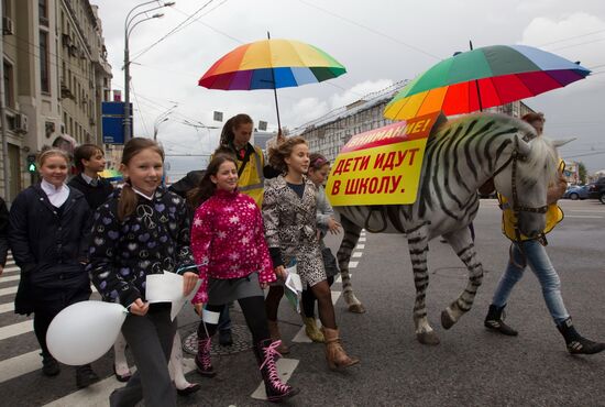 Moscow Traffic Police action "Safe Zebra Crossings"