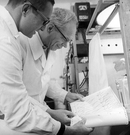 Employees of the Agro-Physical Institute Karmanov and Nikishin