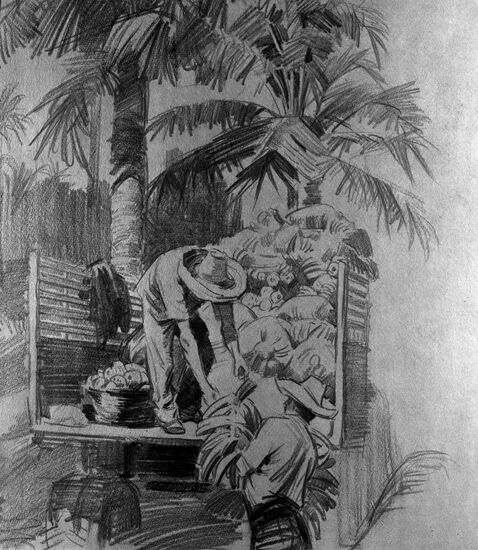Reproduction of picture "Bumper harvest" by Ivan Sushchenko