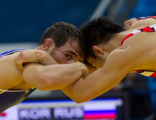 2010 World Wrestling Championship