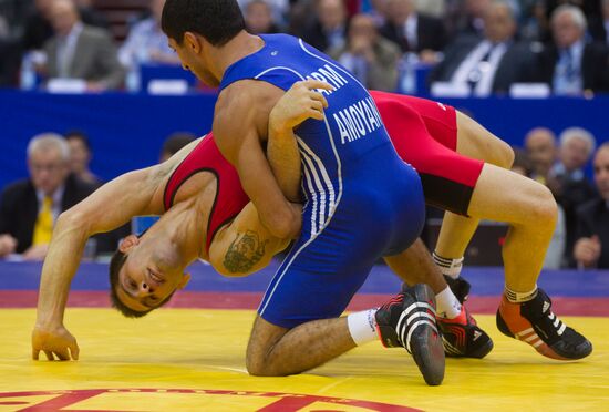 Greco-Roman wrestling. World championship-2010