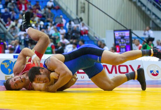 2010 World Wrestling Championships