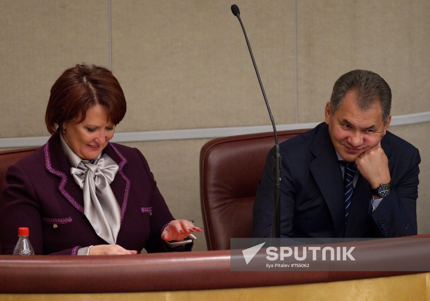 Plenary meeting of the State Duma