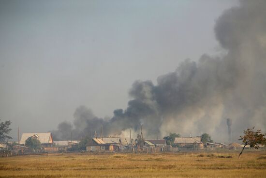Fires, Altai Territory